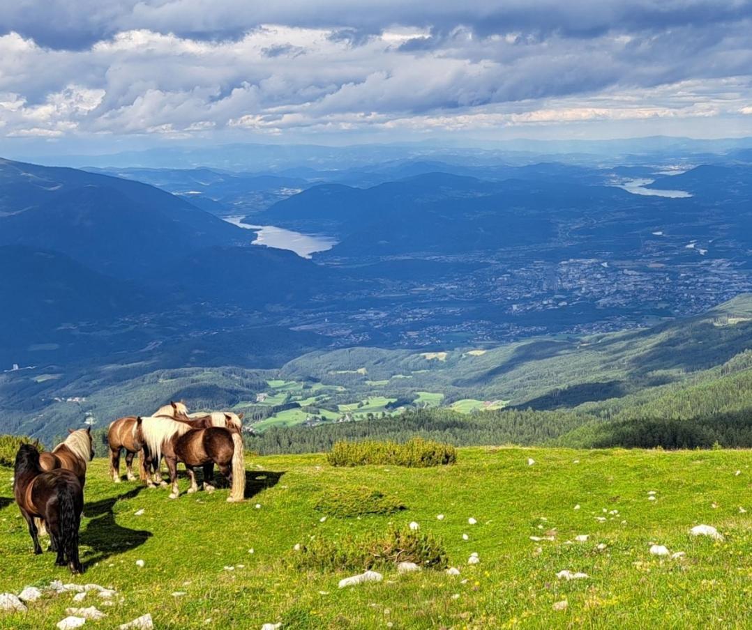 Direkter Seezugang Am Ossiacher See, Radfahren, Wandern & Erlebniscard Villach Dış mekan fotoğraf